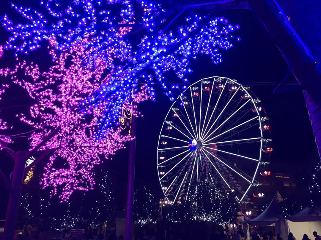 Photo by Asatoma_Conscious Food Choices on December 24, 2021.