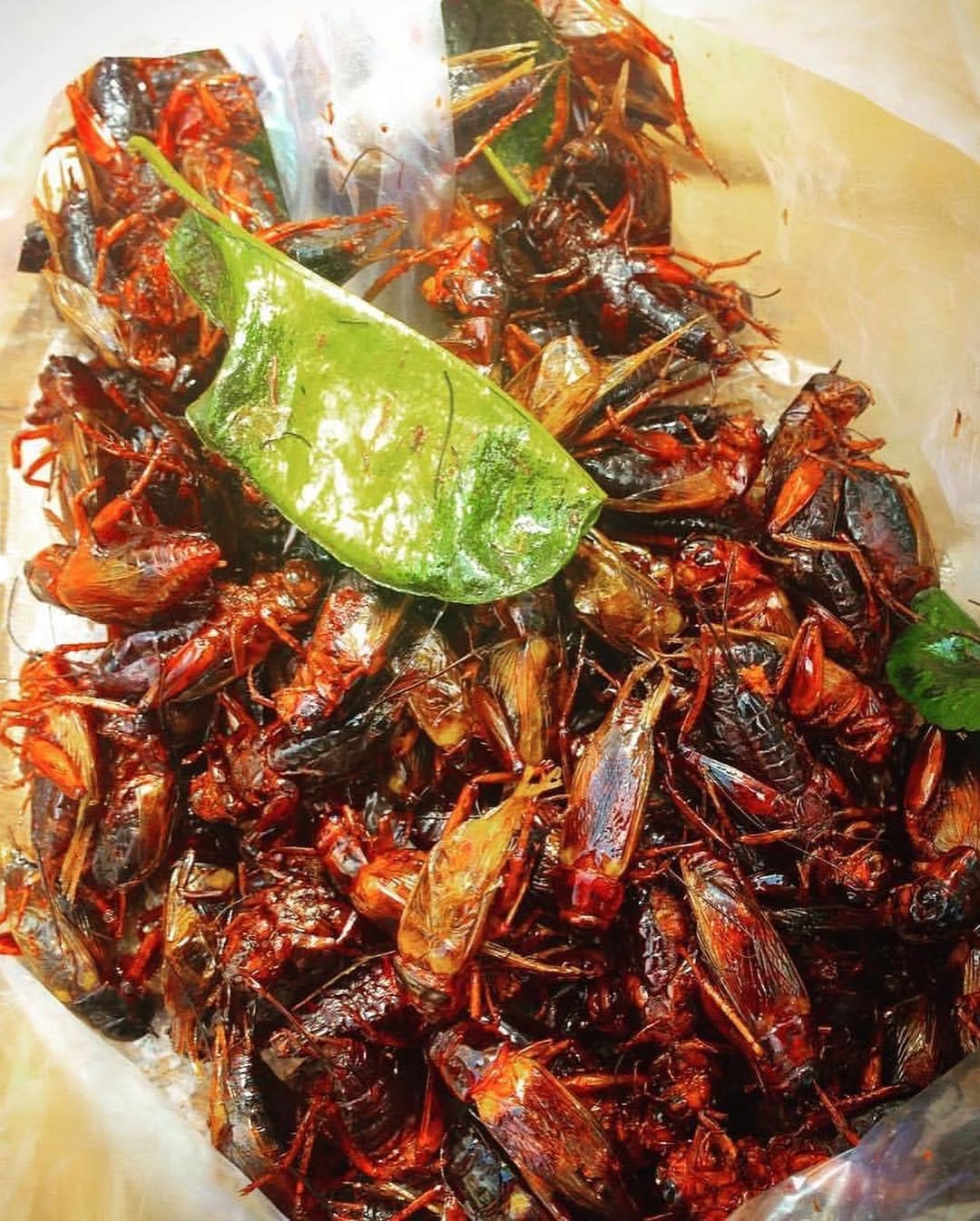 Photo by Asatoma_Conscious Food Choices on November 25, 2021.