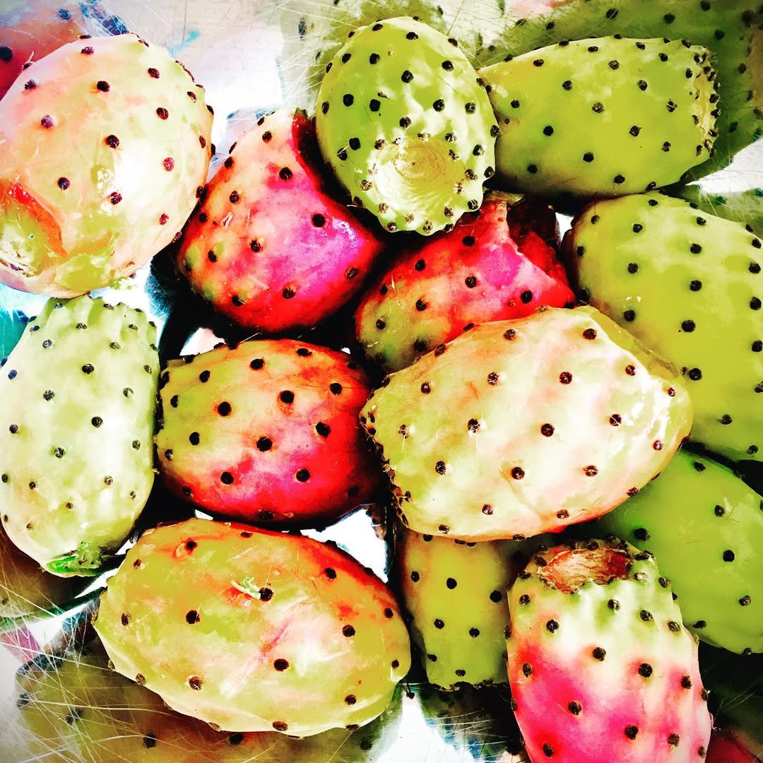 Photo by Asatoma_Conscious Food Choices on September 10, 2021.