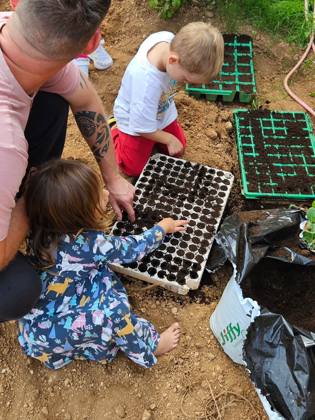 Photo shared by Asatoma_Conscious Food Choices on November 08, 2025 tagging @criharmer_charmerz, and @secret.garden.gozo. May be an image of tree and text.