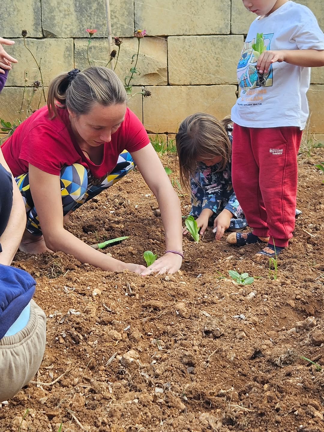 Photo shared by Asatoma_Conscious Food Choices on November 08, 2025 tagging @criharmer_charmerz, and @secret.garden.gozo. May be an image of tree and text.