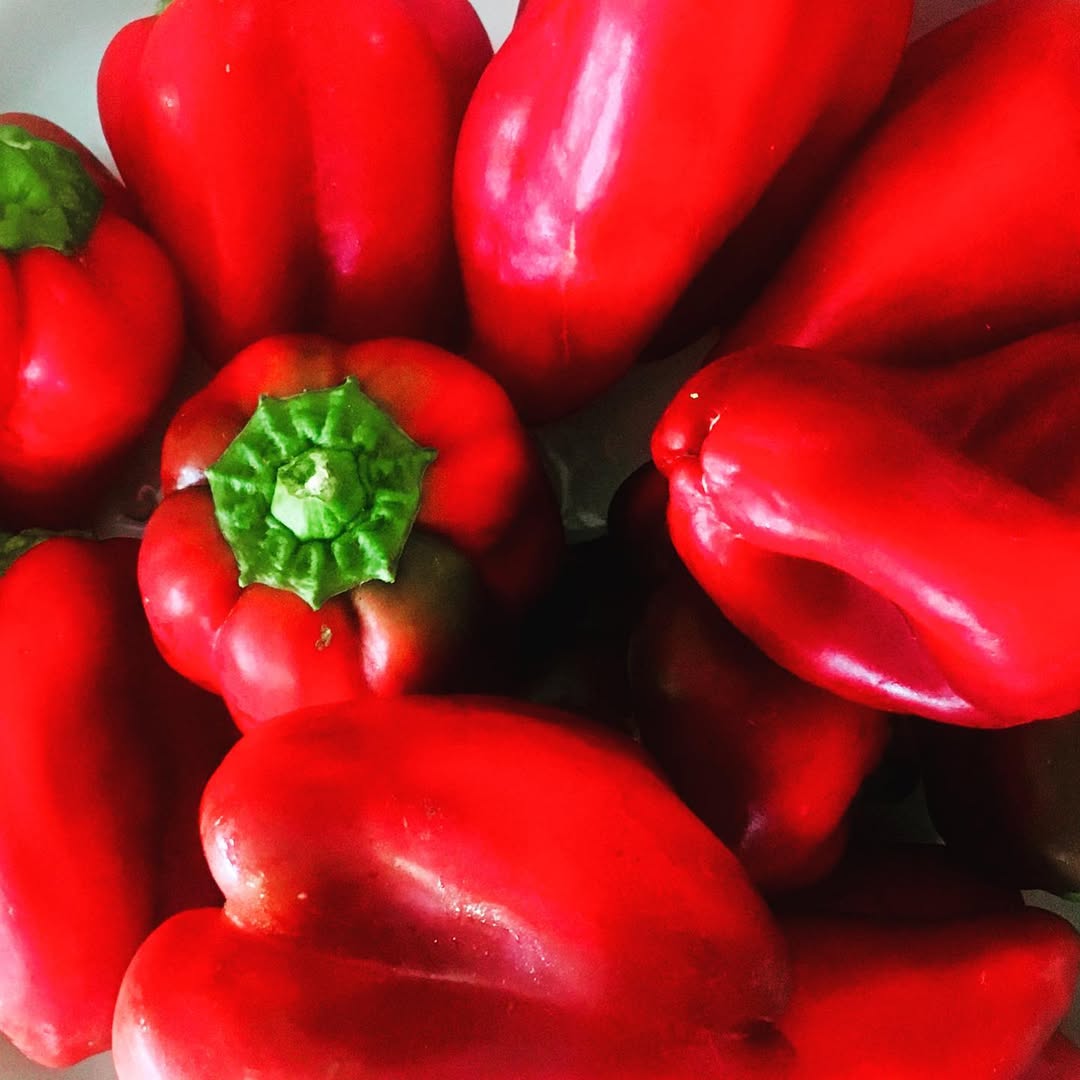 Photo by Asatoma_Conscious Food Choices on September 18, 2021.